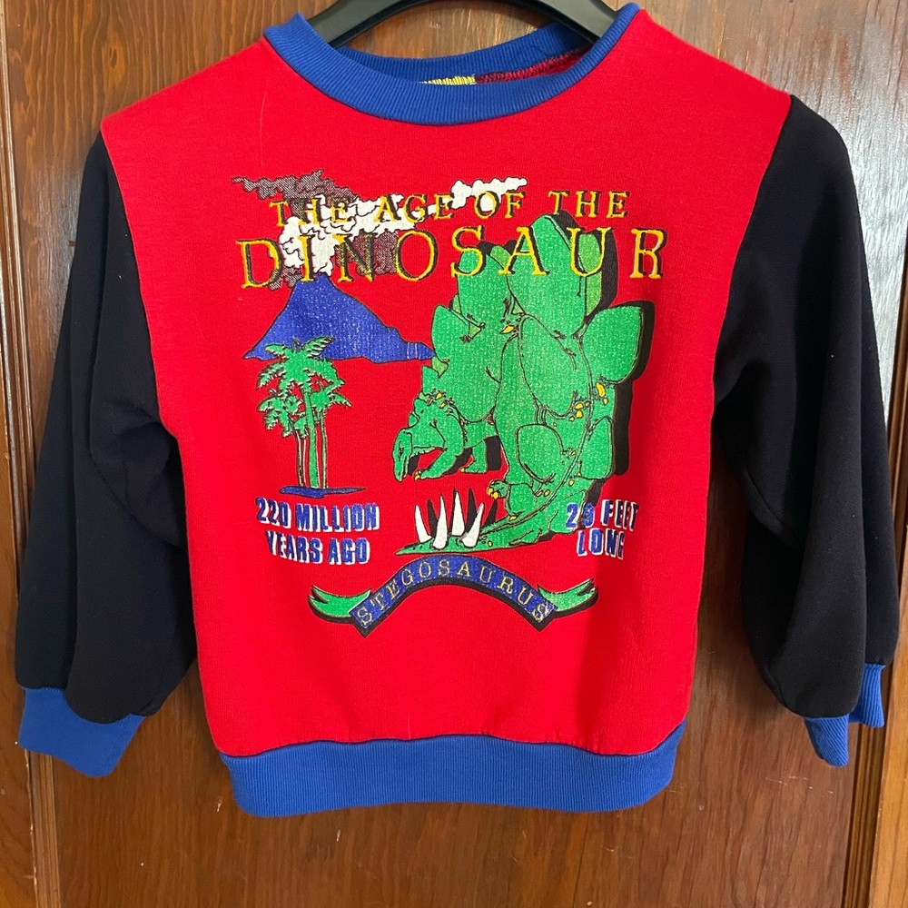 SOLD-Vintage-Dinosaur Graphic Kids Sweatshirt - Red and Black